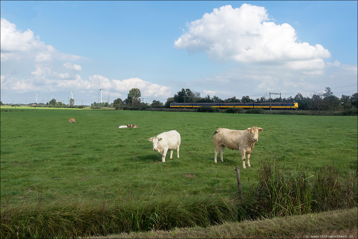 westerborkpad Zwolle Lichtmis