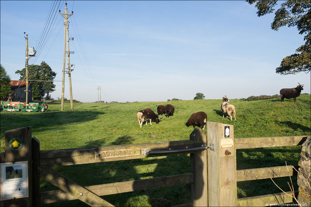 Hadrian Wall Walk XIII-XXVII