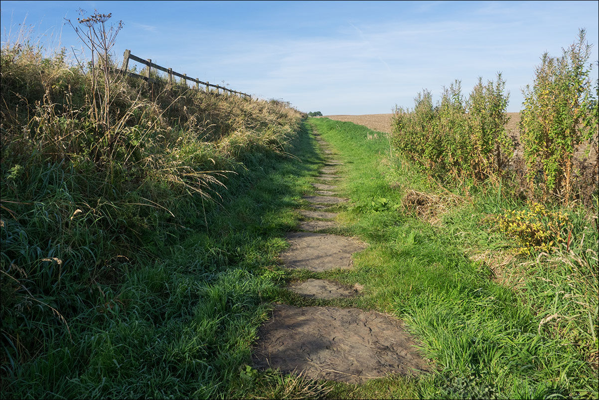 Hadrian Wall Walk XIII-XXVII