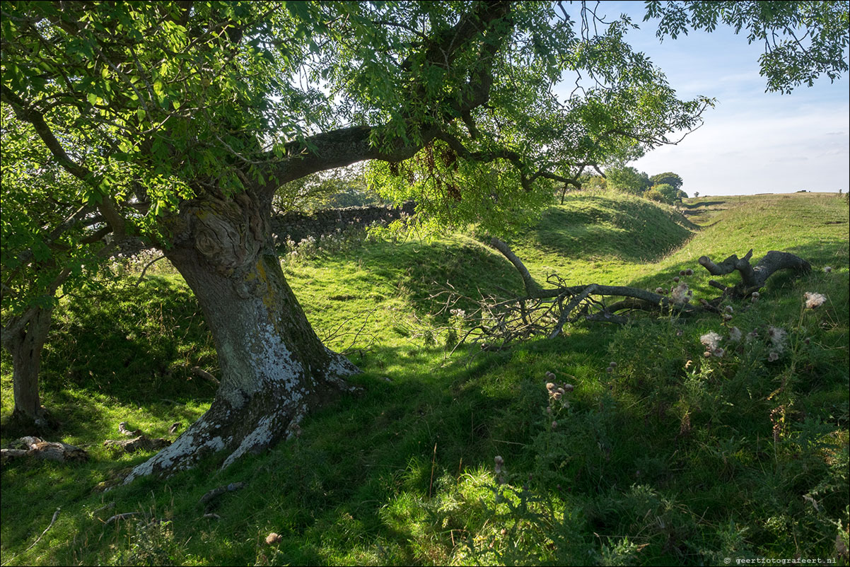 Hadrian Wall Walk XIII-XXVII