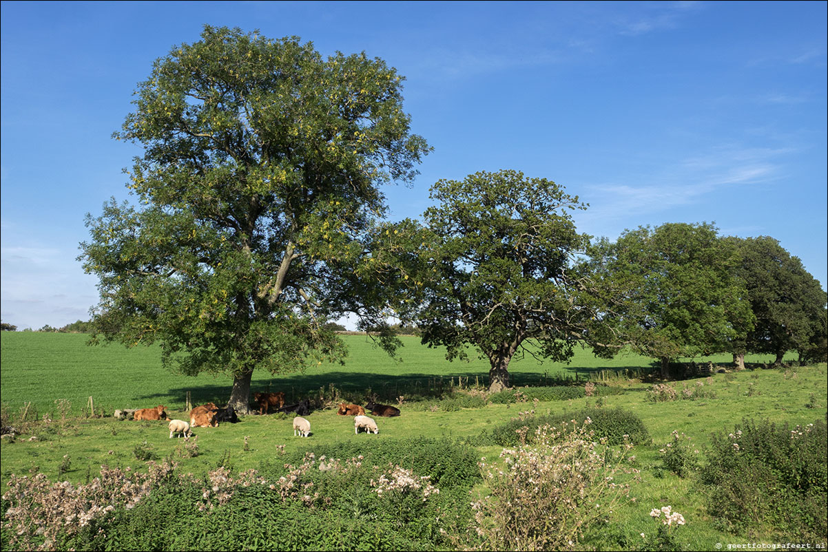 Hadrian Wall Walk XIII-XXVII