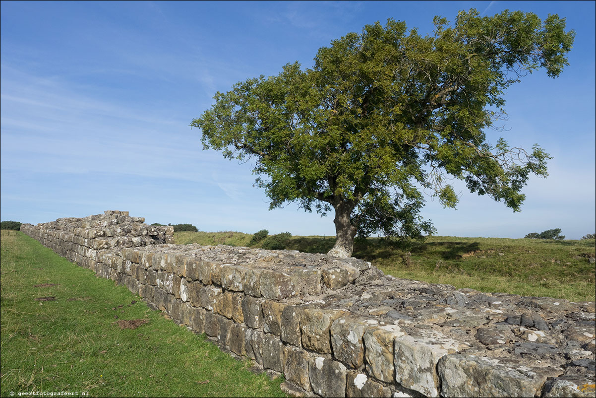 Hadrian Wall Walk XXVII-XXXIX