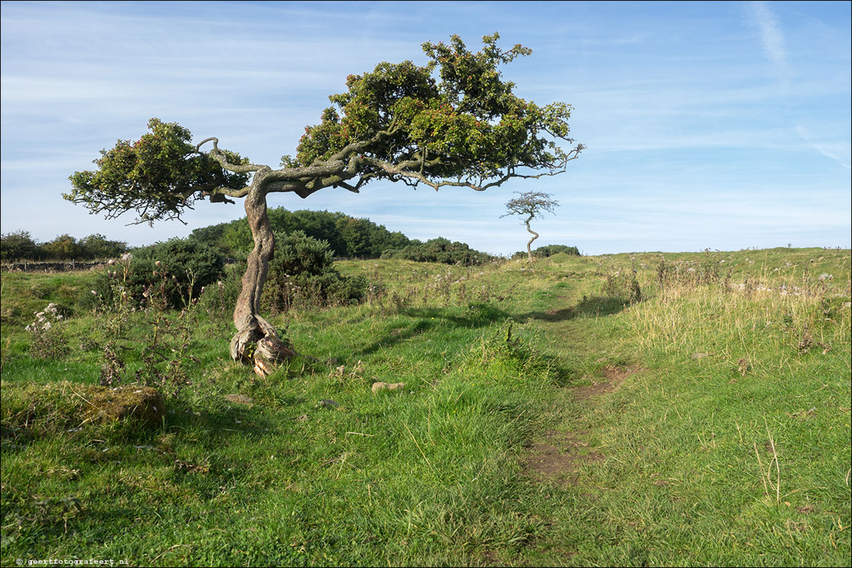 Hadrian Wall Walk XXVII-XXXIX