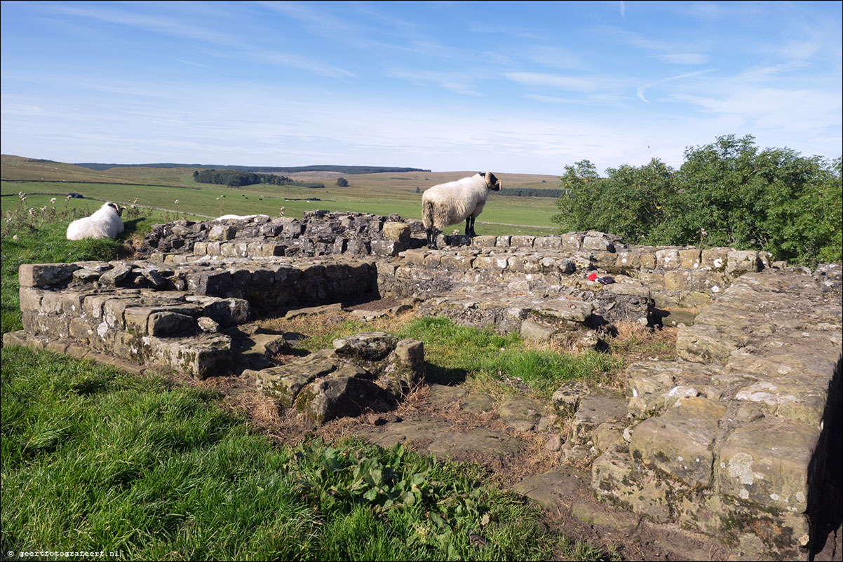 Hadrian Wall Walk XXVII-XXXIX