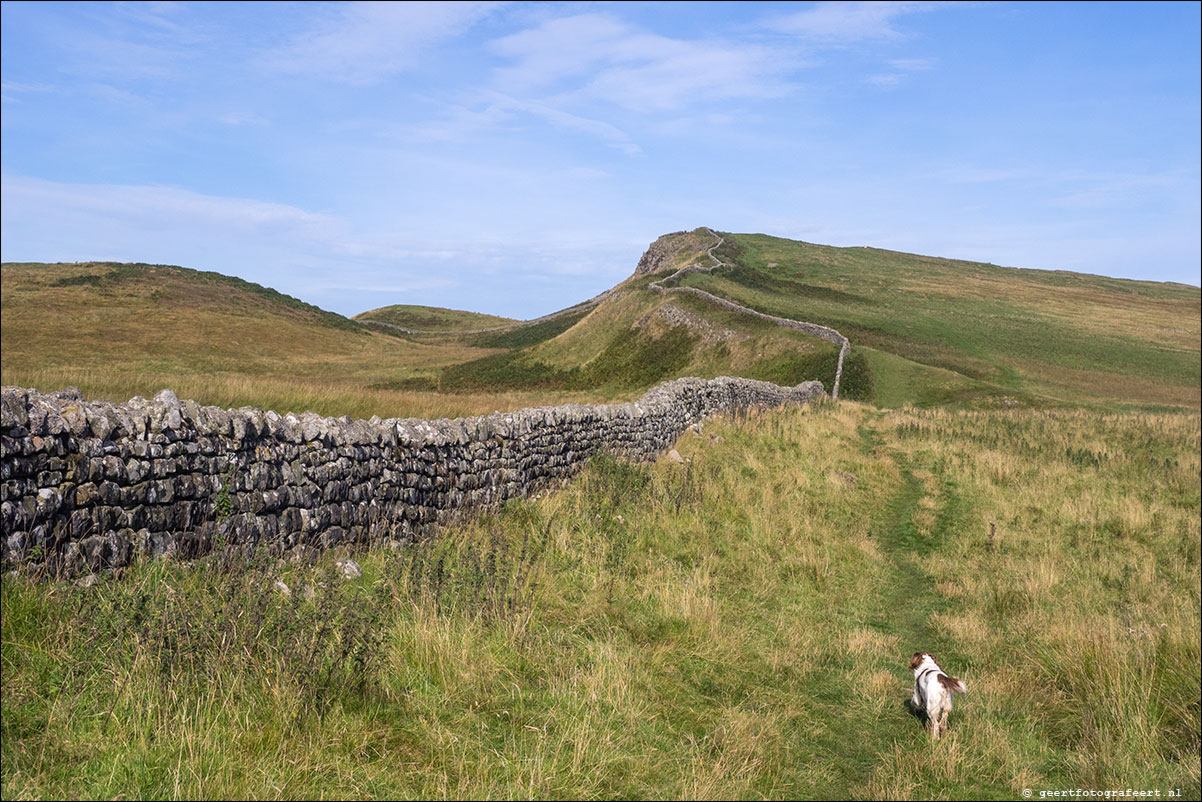 Hadrian Wall Walk XXVII-XXXIX