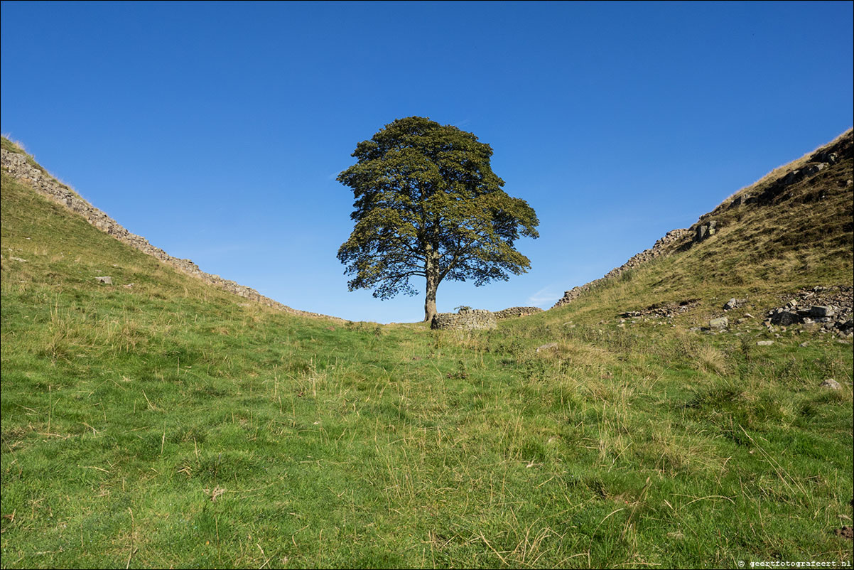 Hadrian Wall Walk XXVII-XXXIX