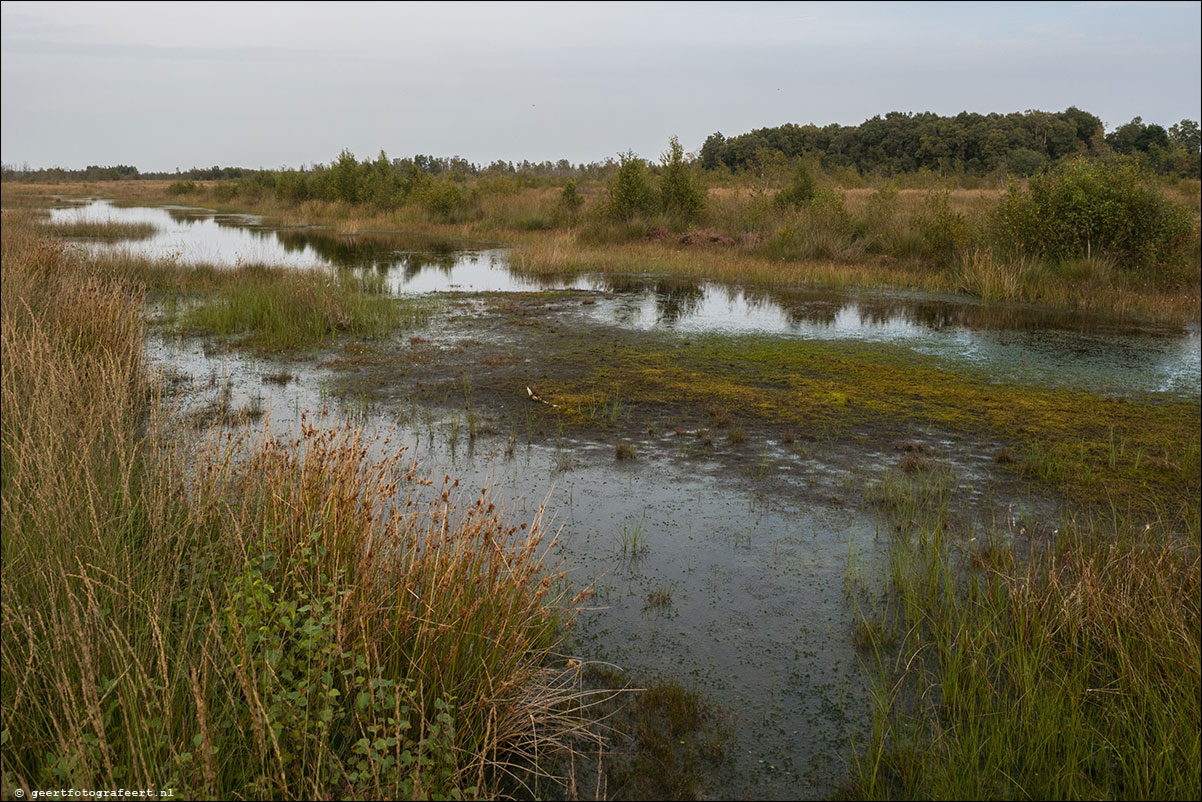 Grenspad: Ter Apel -> Emmer-Compagscuum -> Bargerveen -> Zwartemeer -> Weiteveen 