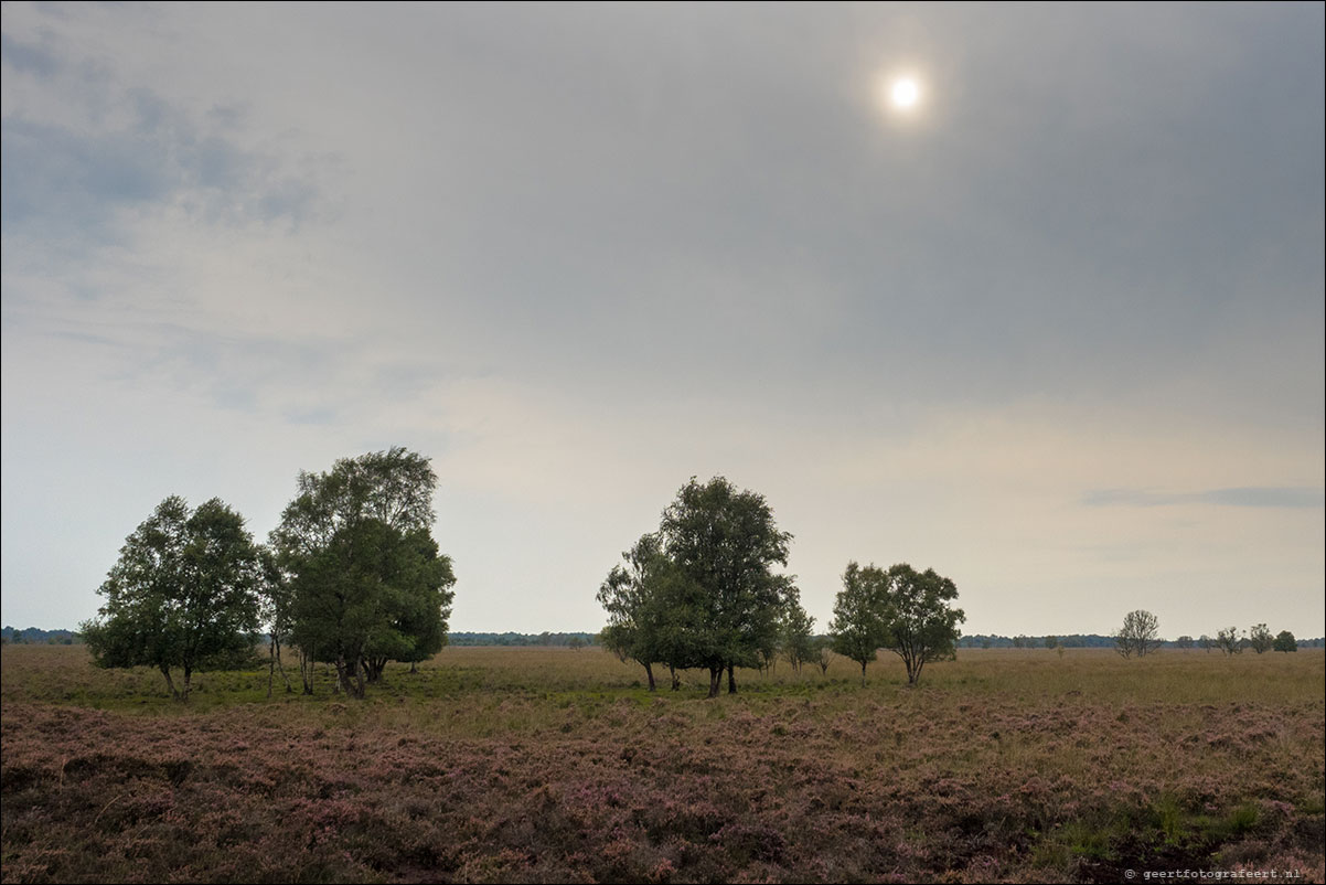 Grenspad: Ter Apel -> Emmer-Compagscuum -> Bargerveen -> Zwartemeer -> Weiteveen 