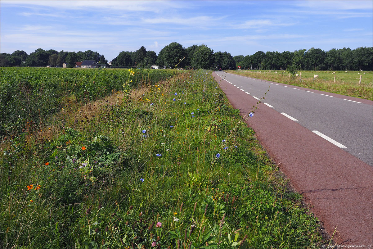 Weiteveen, Oosterse Bos, Middendorp, Schoonebeek, Coevorden